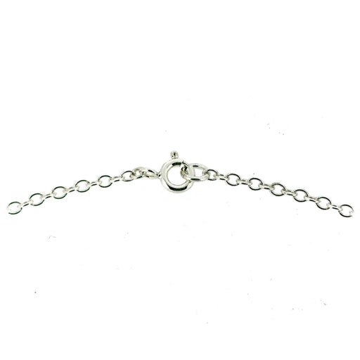Sterling Silver Albert Pendant on Elegant Oval Link Chain