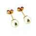 Classic 5mm Pearl Stud Earrings by Roberts & Co